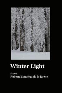 bokomslag Winter Light