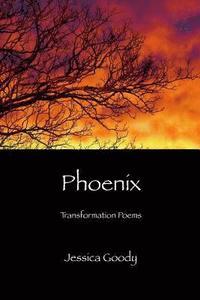 bokomslag Phoenix: Transformation Poems