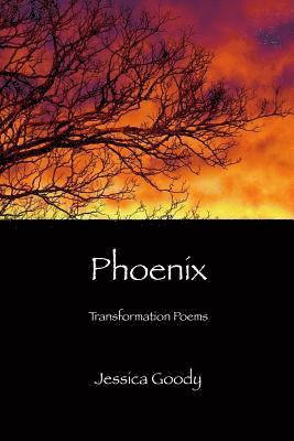 bokomslag Phoenix: Transformation Poems
