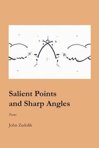 bokomslag Salient Points and Sharp Angles