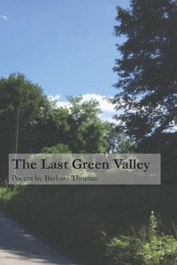 bokomslag The Last Green Valley