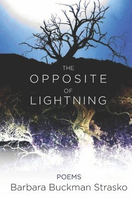 Barbara Buckman Strasko - The Opposite of Lightning, Häftad