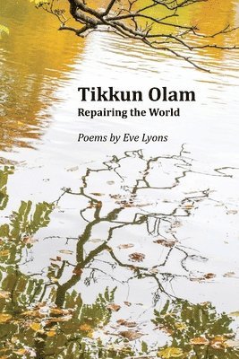 bokomslag Tikkun Olam: Repairing the World