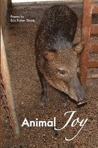 bokomslag Animal Joy