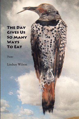 Lindsay Wilson - Day Gives Us So Many Ways to Eat, Häftad