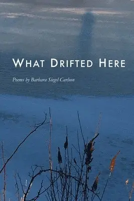 Barbara Siegel Carlson - What Drifted Here, Häftad. Tillgänglighet: Tillfälligt slut