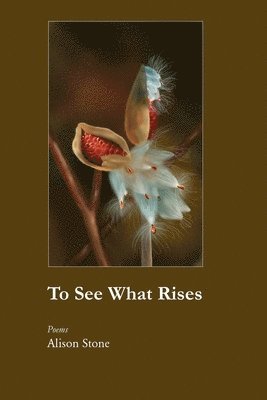 To See What Rises