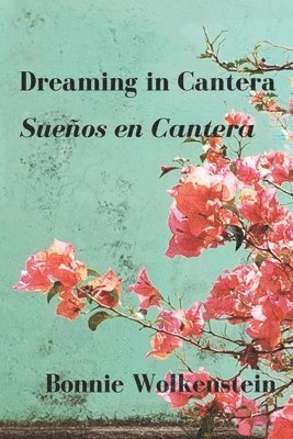 bokomslag Dreaming in Cantera / Sueños en Cantera