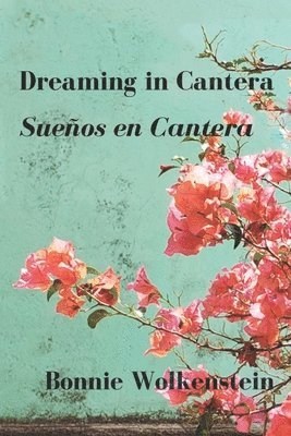 Dreaming in Cantera / Suenos en Cantera 1