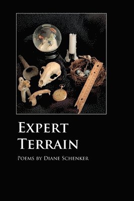 Expert Terrain 1