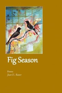 bokomslag Fig Season