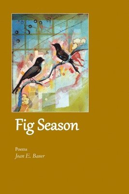 Fig Season 1