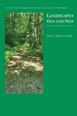 Allen Lee Ireland - Landscapes Old and New, Häftad