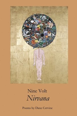 bokomslag Nine Volt Nirvana