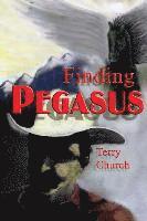 Finding Pegasus 1