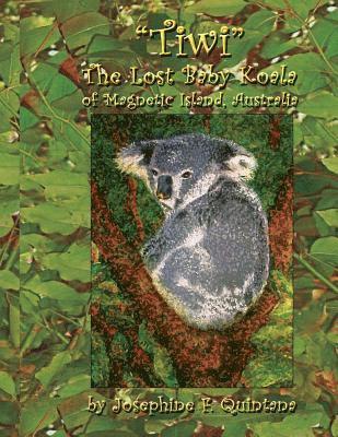 Tiwi, the Lost Baby Koala of Magnetic Island, Australia 1