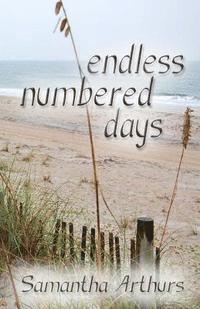 Endless Numbered Days 1