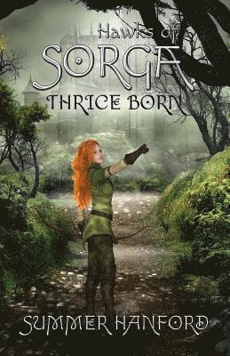 Hawks of Sorga 1