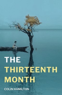 The Thirteenth Month 1