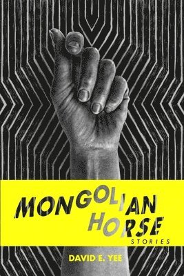 Mongolian Horse 1