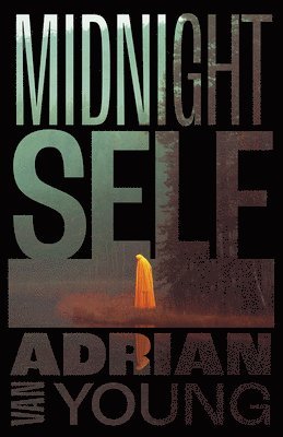 bokomslag Midnight Self