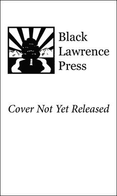 Bob Ostertag - Encounters with Men, Häftad