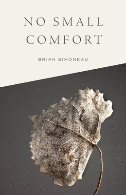 No Small Comfort 1