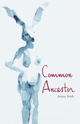 bokomslag Common Ancestor