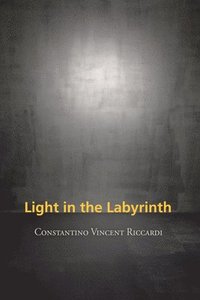 bokomslag Light in the Labyrinth