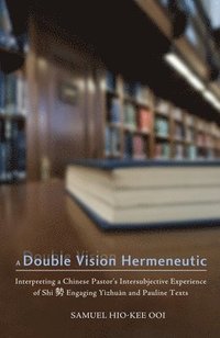 bokomslag A Double Vision Hermeneutic