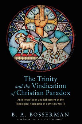 bokomslag The Trinity and the Vindication of Christian Paradox