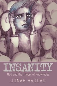 bokomslag Insanity