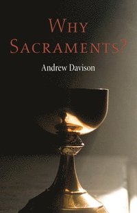 bokomslag Why Sacraments?