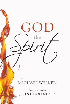 Michael Welker - God the Spirit, Häftad