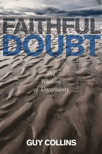 bokomslag Faithful Doubt