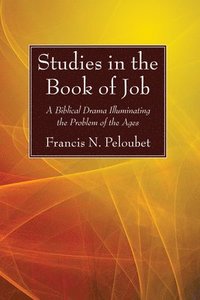 bokomslag Studies in the Book of Job