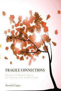 bokomslag Fragile Connections