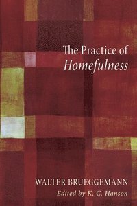 bokomslag Practice of Homefulness