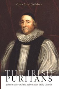bokomslag The Irish Puritans