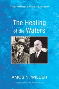 bokomslag The Healing of the Waters