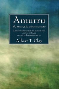 bokomslag Amurru