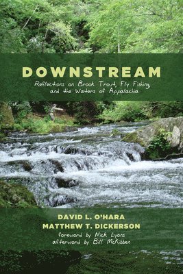bokomslag Downstream