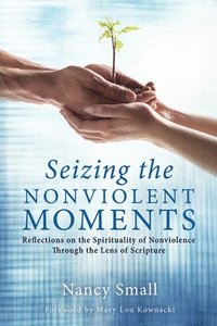 bokomslag Seizing the Nonviolent Moments