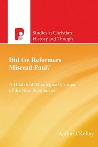 bokomslag Did the Reformers Misread Paul?