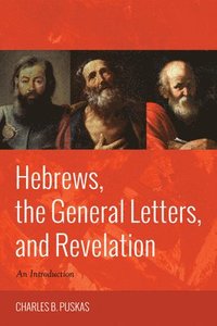 bokomslag Hebrews, the General Letters, and Revelation