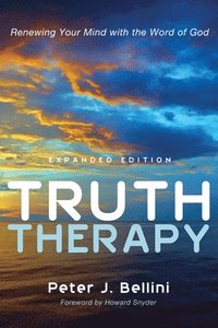 bokomslag Truth Therapy