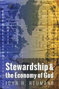 bokomslag Stewardship & the Economy of God