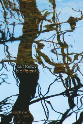 Sarah Stern - But Today Is Different, Häftad