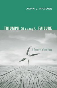 bokomslag Triumph Through Failure