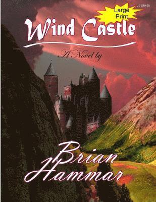 bokomslag Wind Castle